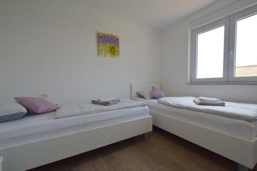 Apartments Lavinia