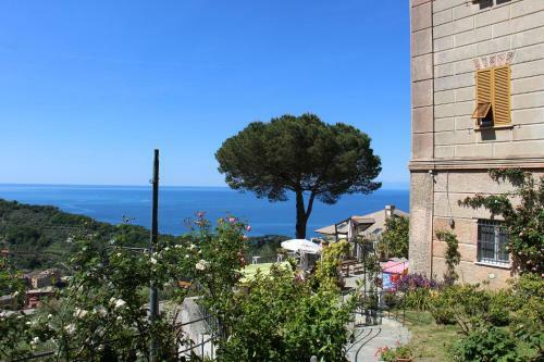 Hostal B&B Villa Orchidea