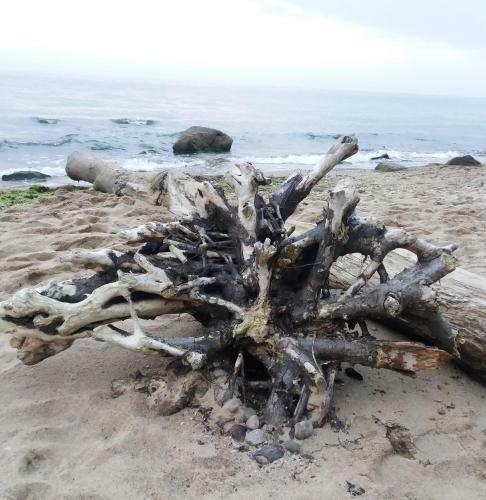 Sandapart