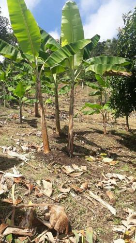 Villa El Ensue�o