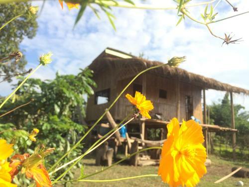 Baan 2 Dao Farmstay