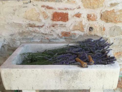 Lavender Dreams Cottage Hvar