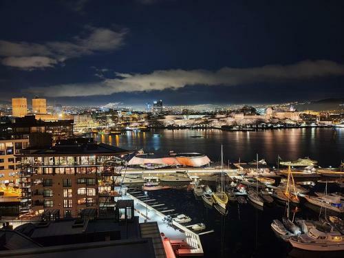 Budget Room Aker Brygge