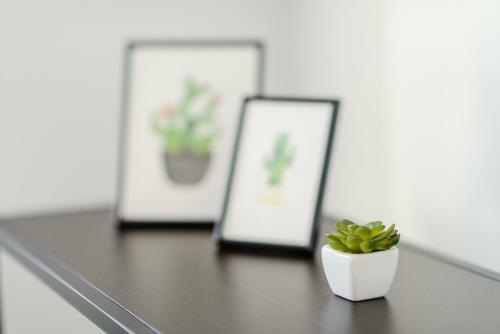 Apartamento Studio Kopernika