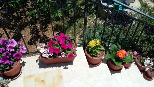 Appartamento Privato Maria, Affitti Brevi