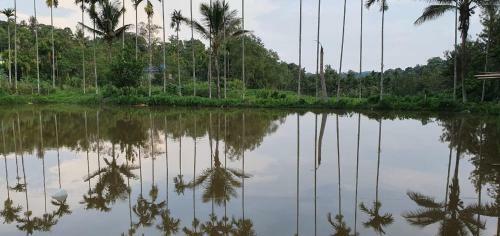 Agroturismo Leela Stay