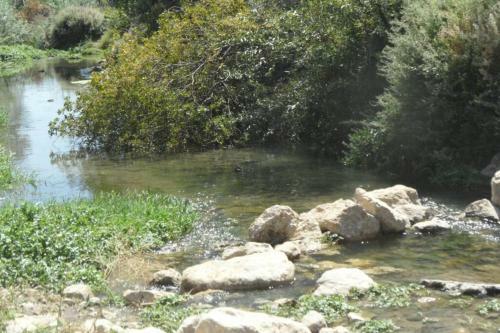 V Turistica En Plena Naturaleza A 30 Kms De Granada