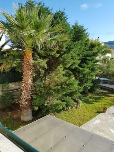 Agroturismo Nautilus
