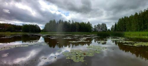 Camping Konrad�wka