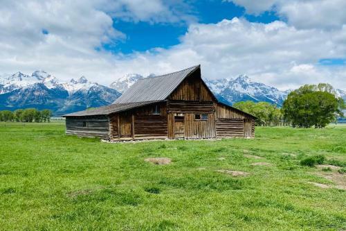 Bear Lair At Teton Valley Idaho