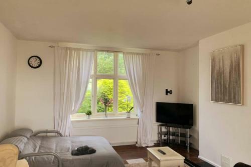 Entire Spacious Apartment