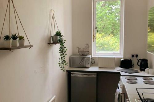 Entire Spacious Apartment