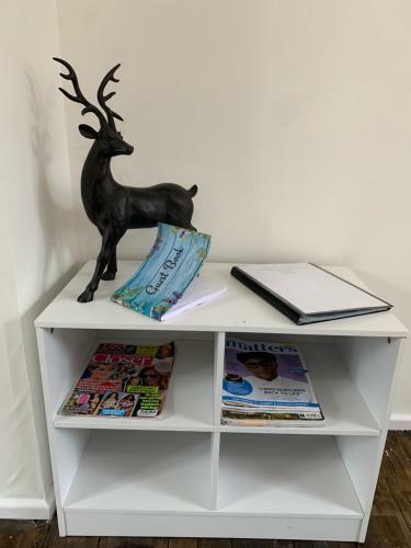Entire Spacious Apartment