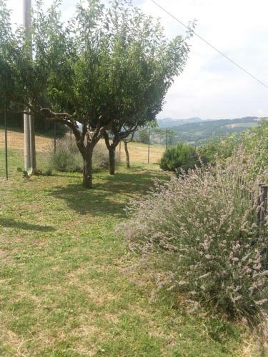 Apartamento Appartamento Turistico Il Colle Del Nibbio