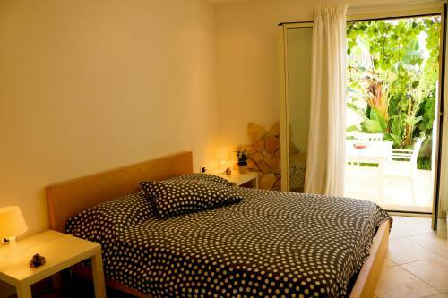 The Enlightened Turtle