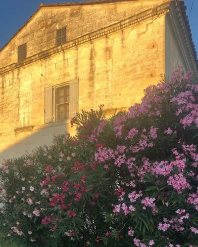 Hotel Le Mas Blanc