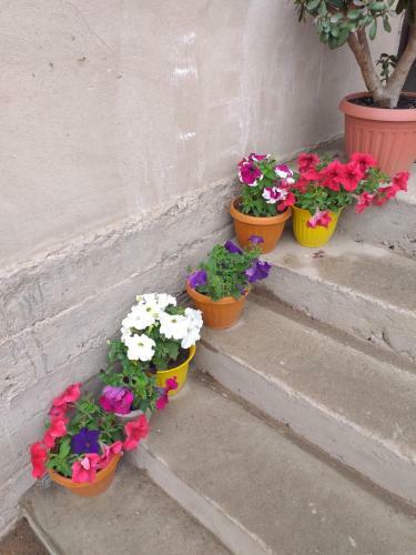 Bed & Breakfast Ecoulan