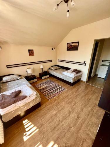 Villa Rodopski Ailyak