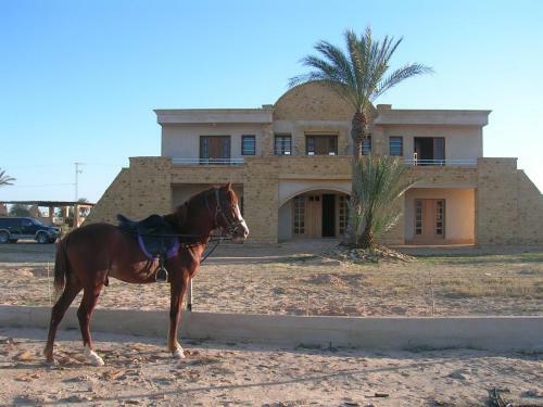 Bella Djerba