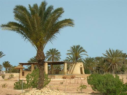Bella Djerba