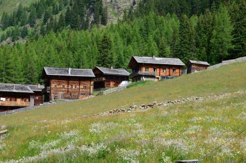 Apartamento Ferienhaus Sch�neggerhof