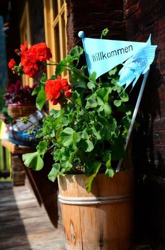 Apartamento Ferienhaus Sch�neggerhof