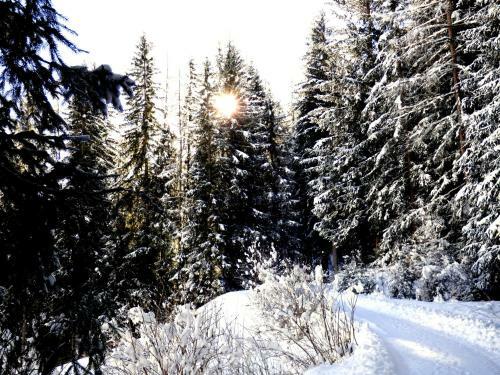 Hostal Natur Residenz Villgraten