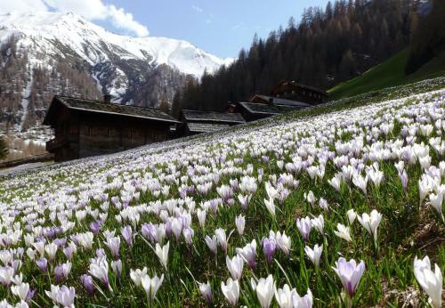 Hostal Natur Residenz Villgraten