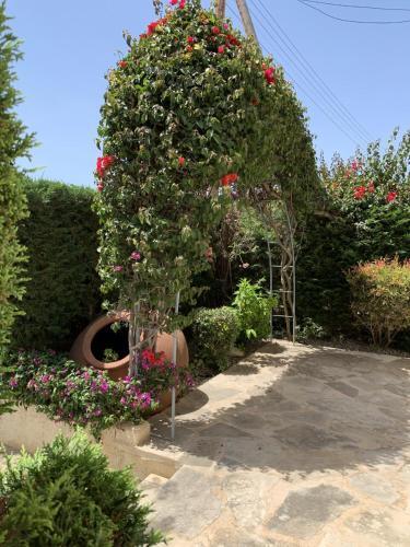 Polis Beach Villa