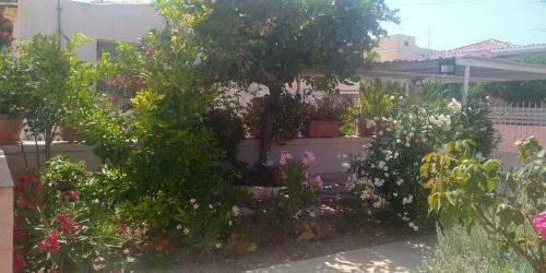 Apartamento Aegina House