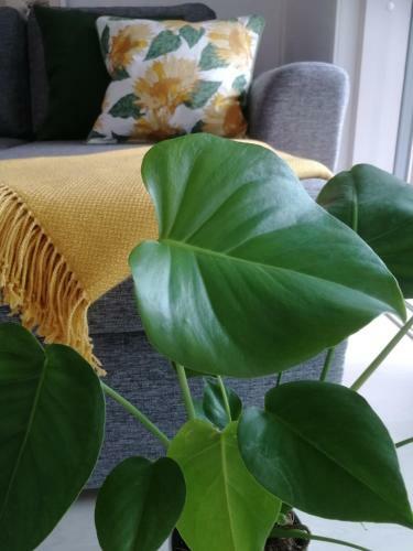 Apartamento Feels Like Home Helmi