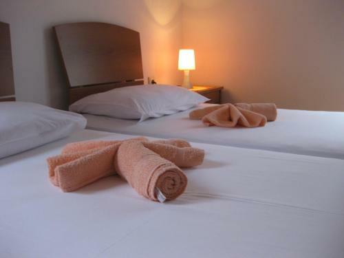 Hostal Apartments Drobni Pijesak
