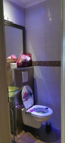 Apartment Luka Sodan -villa Bose