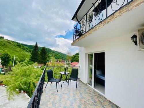 Hostal Pensiune Muntii Aninei