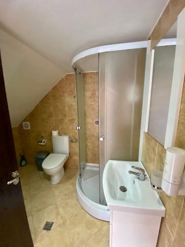Hostal Pensiune Muntii Aninei
