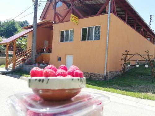 Hotel Fructele Padurii