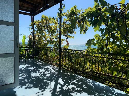 Hostal Agava