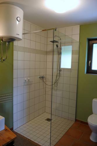 Apartmaji Gospoud Srmak