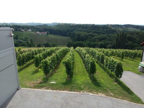Apartamento Evina Hi?a - Winery Pesrl