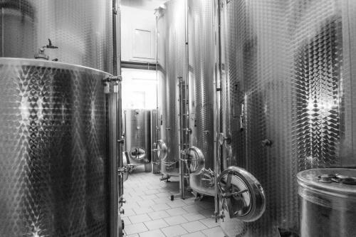 Apartamento Evina Hi?a - Winery Pesrl