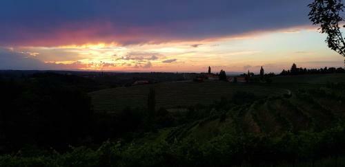 Apartamento Evina Hi?a - Winery Pesrl