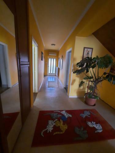 Apartamento F?v�szkert