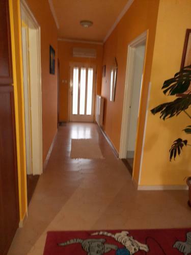 Apartamento F?v�szkert