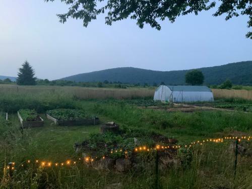 Hostal Dolina Mira/ Peace Valley