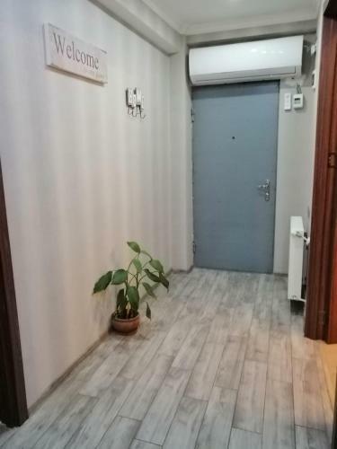 Marjanishvili Apartment