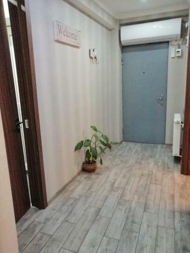 Marjanishvili Apartment