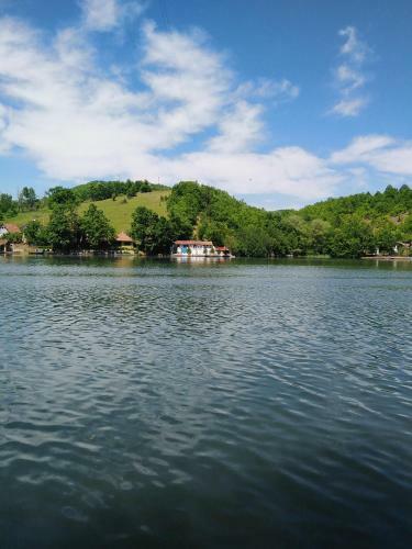 Villa Ku?a Na Obali Jezera Sa Bazenom