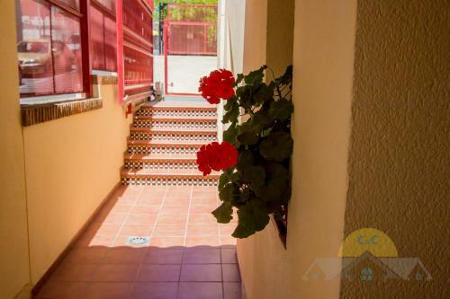 Apartamento En Benalm�dena Costa A 350 Mt Playa!!