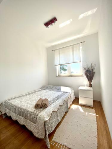 Hostal Cozy Apartment Pore?