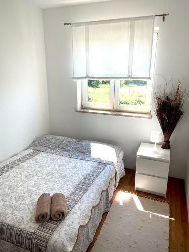Hostal Cozy Apartment Pore?
